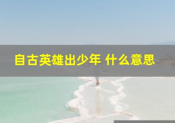 自古英雄出少年 什么意思